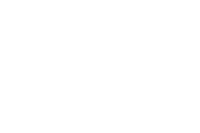 Ansambliui Nemunas 70